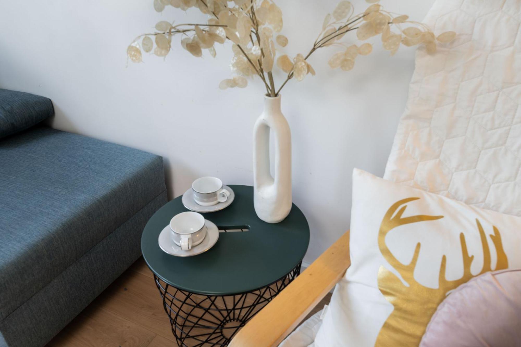 Chopin Apartment Lazienki Park Βαρσοβία Εξωτερικό φωτογραφία